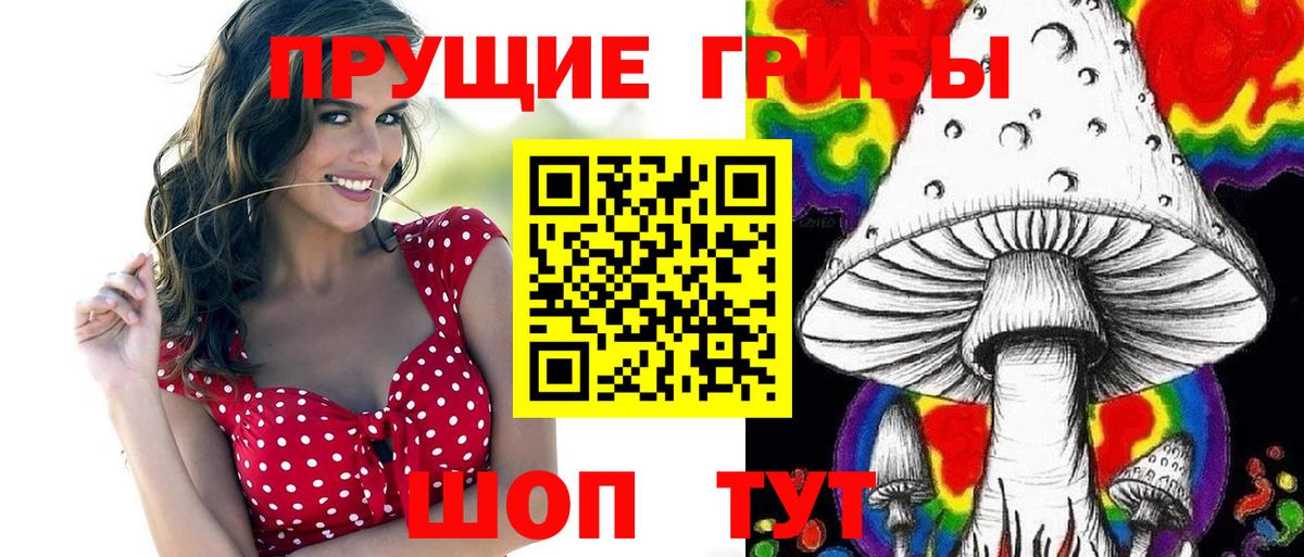 Галлюциногенные грибы Psilocybine cubensis Кимры