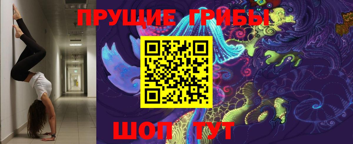Галлюциногенные грибы ЛСД  Вход с VPN  Кимры  Галлюциногенные грибы Psilocybine cubensis 